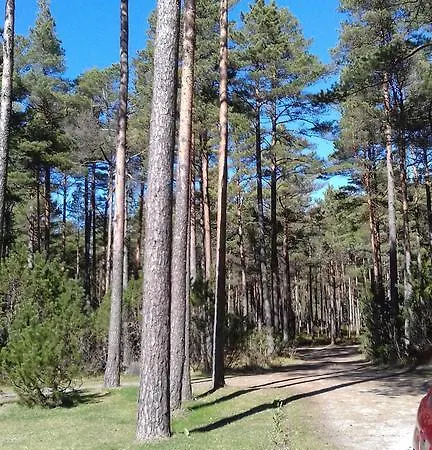 Δωμάτια σε οικογενειακή κατοικία Roosi *